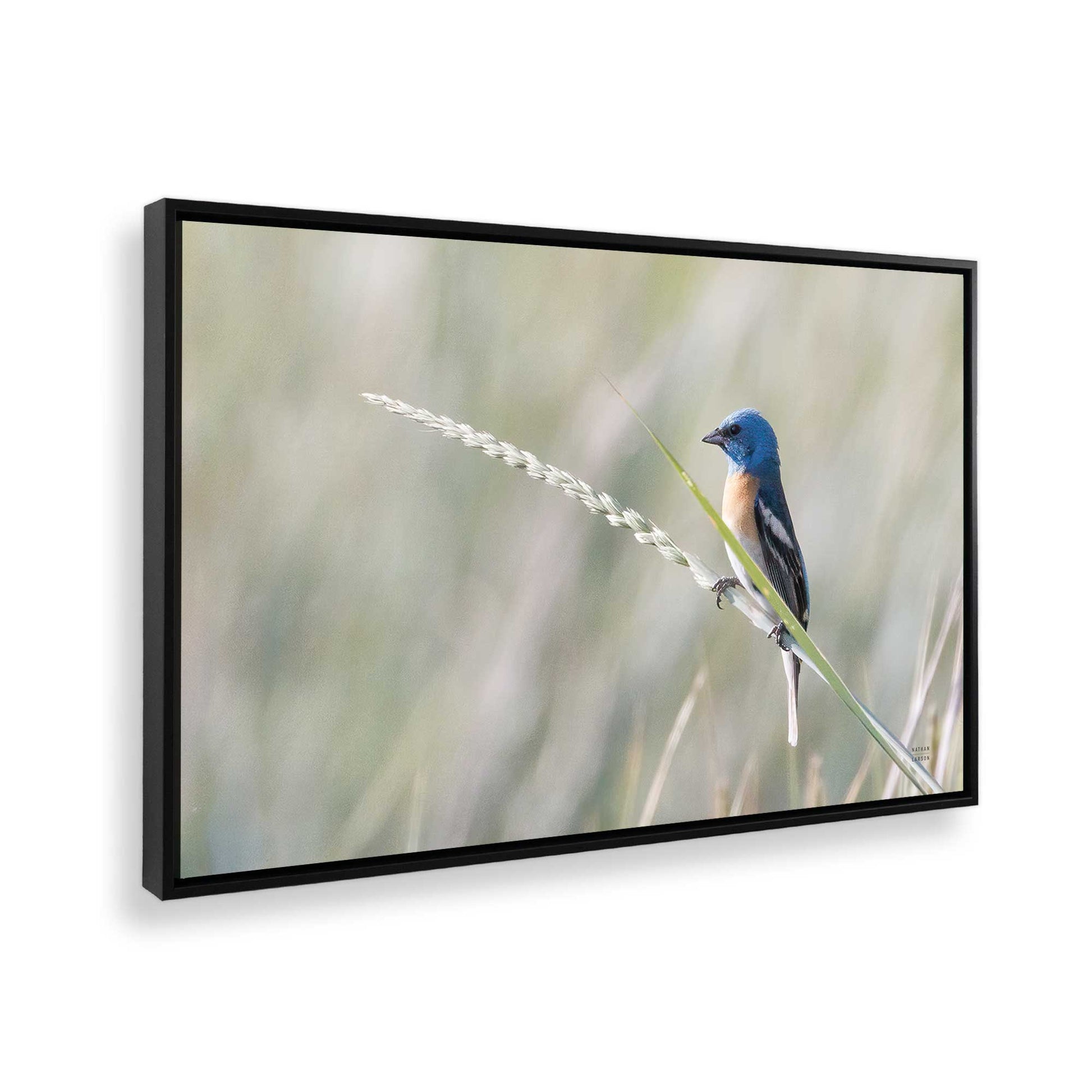 [Color:Satin Black], Picture of the corner of the art