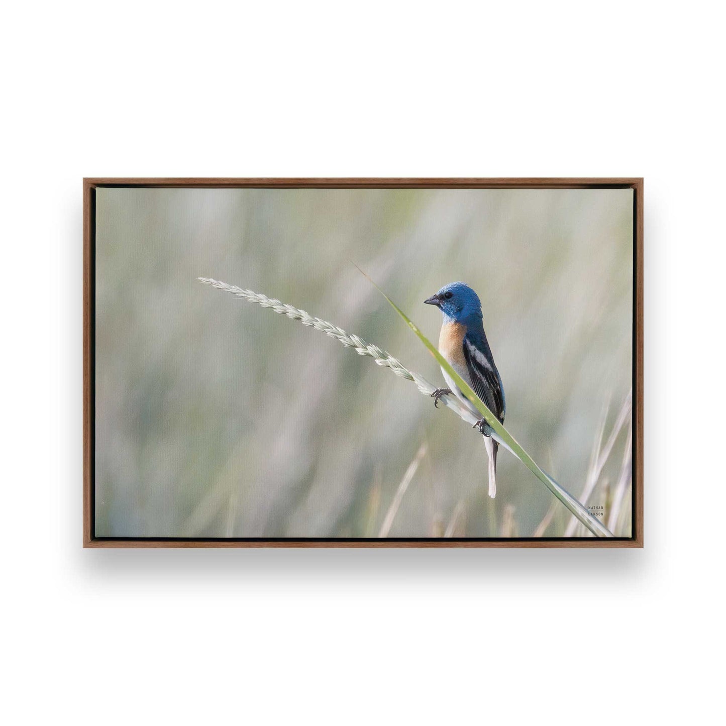 [Color:Walnut], Picture of art in a Walnut frame