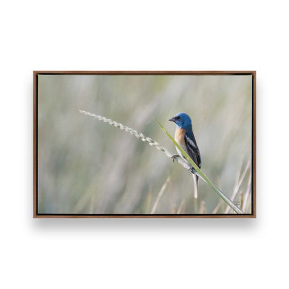 [Color:Walnut], Picture of art in a Walnut frame