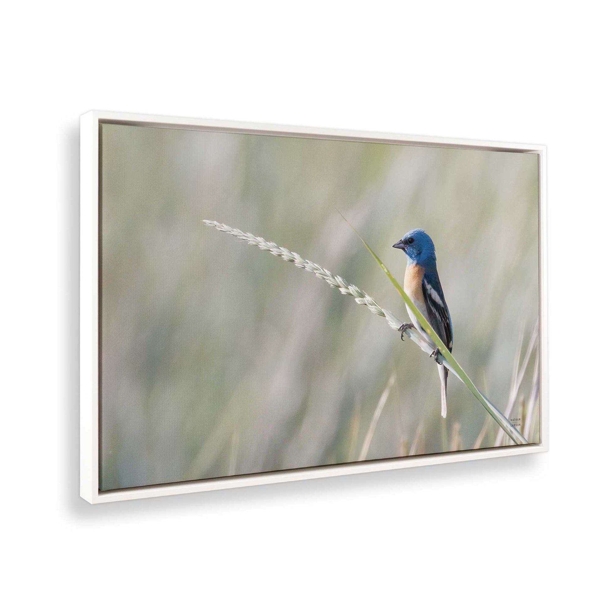 [Color:Opaque White], Picture of the corner of the art