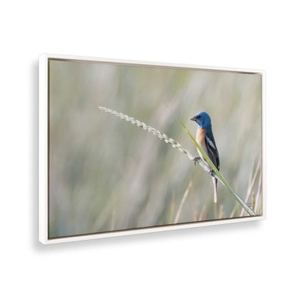 [Color:Opaque White], Picture of the corner of the art