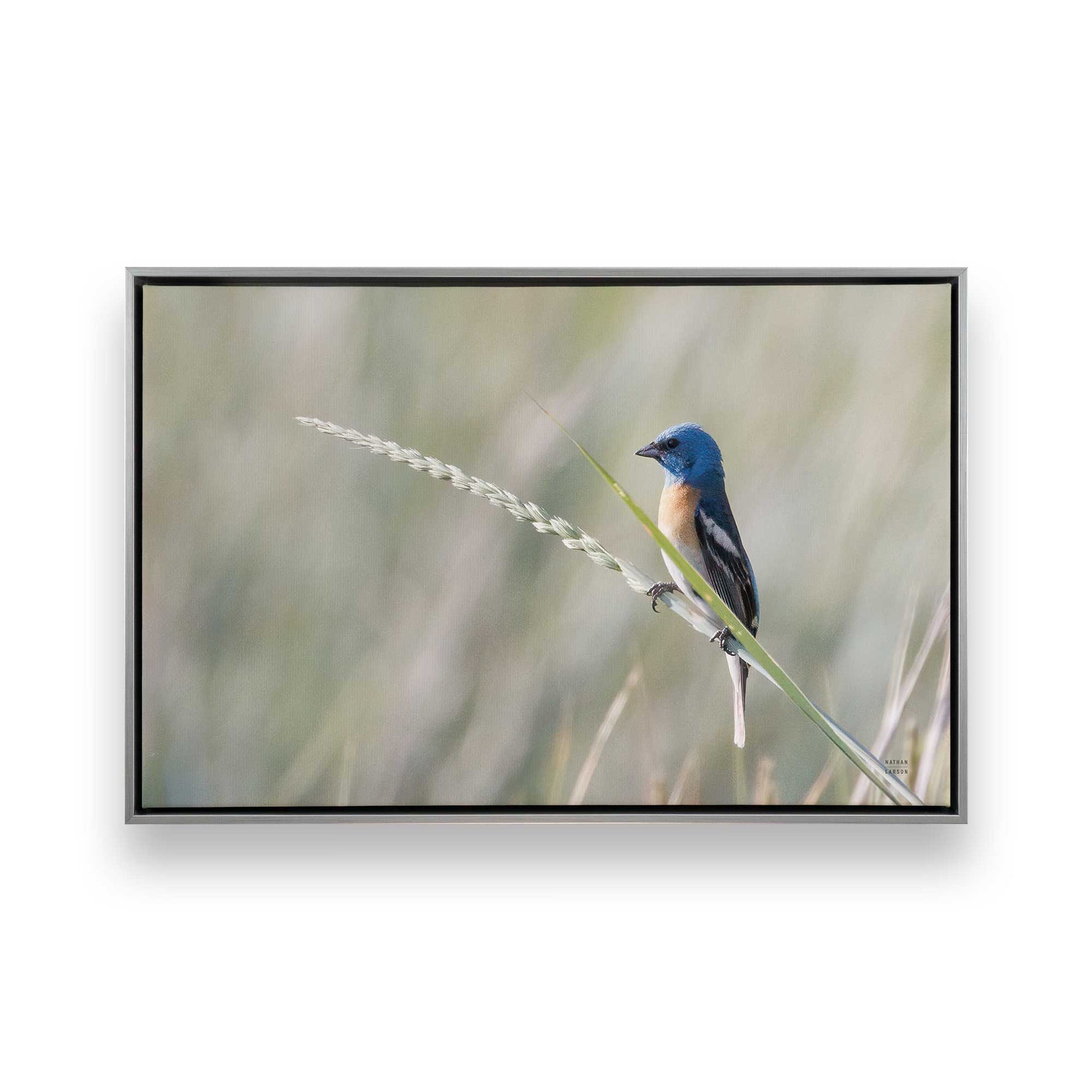 [Color:Polished Chrome], Picture of art in a Polished Chrome frame