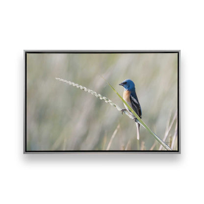 [Color:Polished Chrome], Picture of art in a Polished Chrome frame