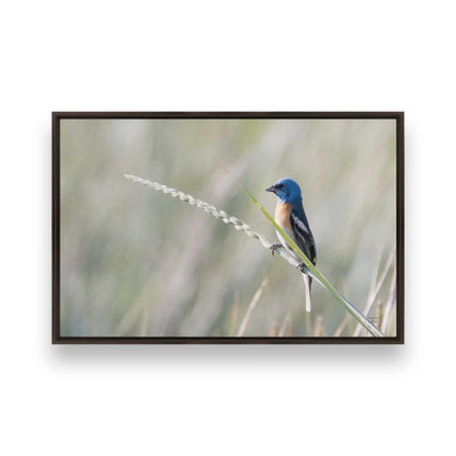 [Color:Espresso], Picture of art in a Espresso frame