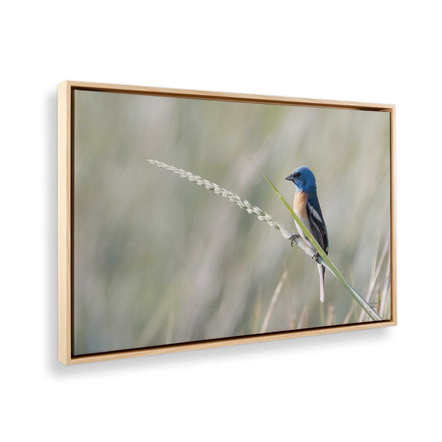 [Color:American Maple], Picture of the corner of the art