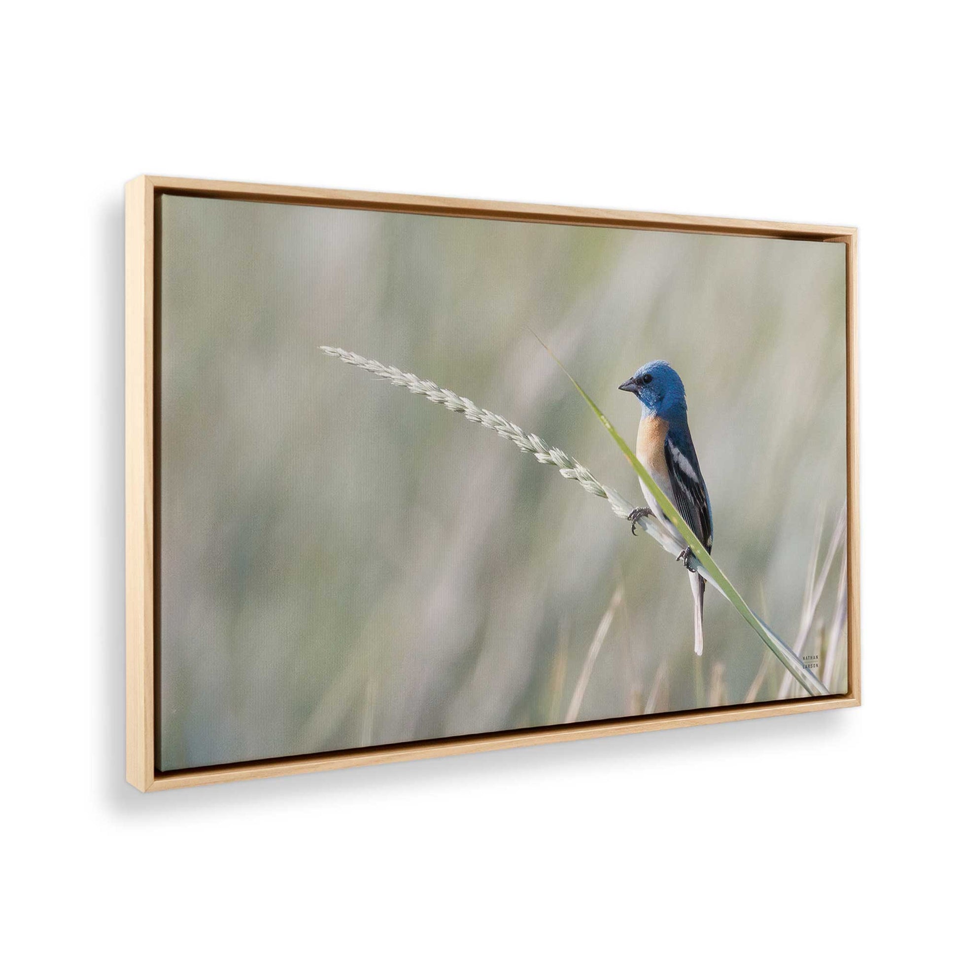 [Color:American Maple], Picture of the corner of the art