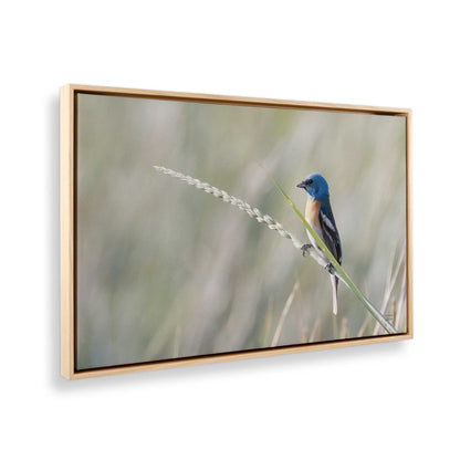 [Color:American Maple], Picture of the corner of the art