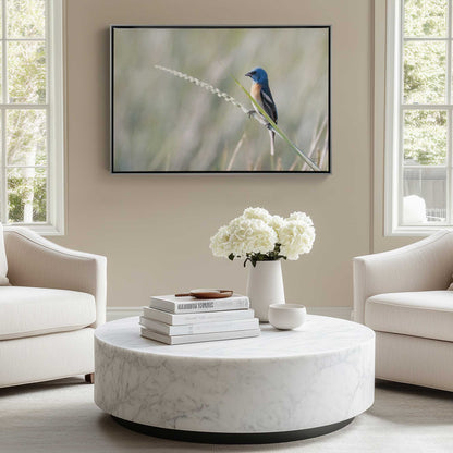 [LIFESTYLE],[SPECIAL],