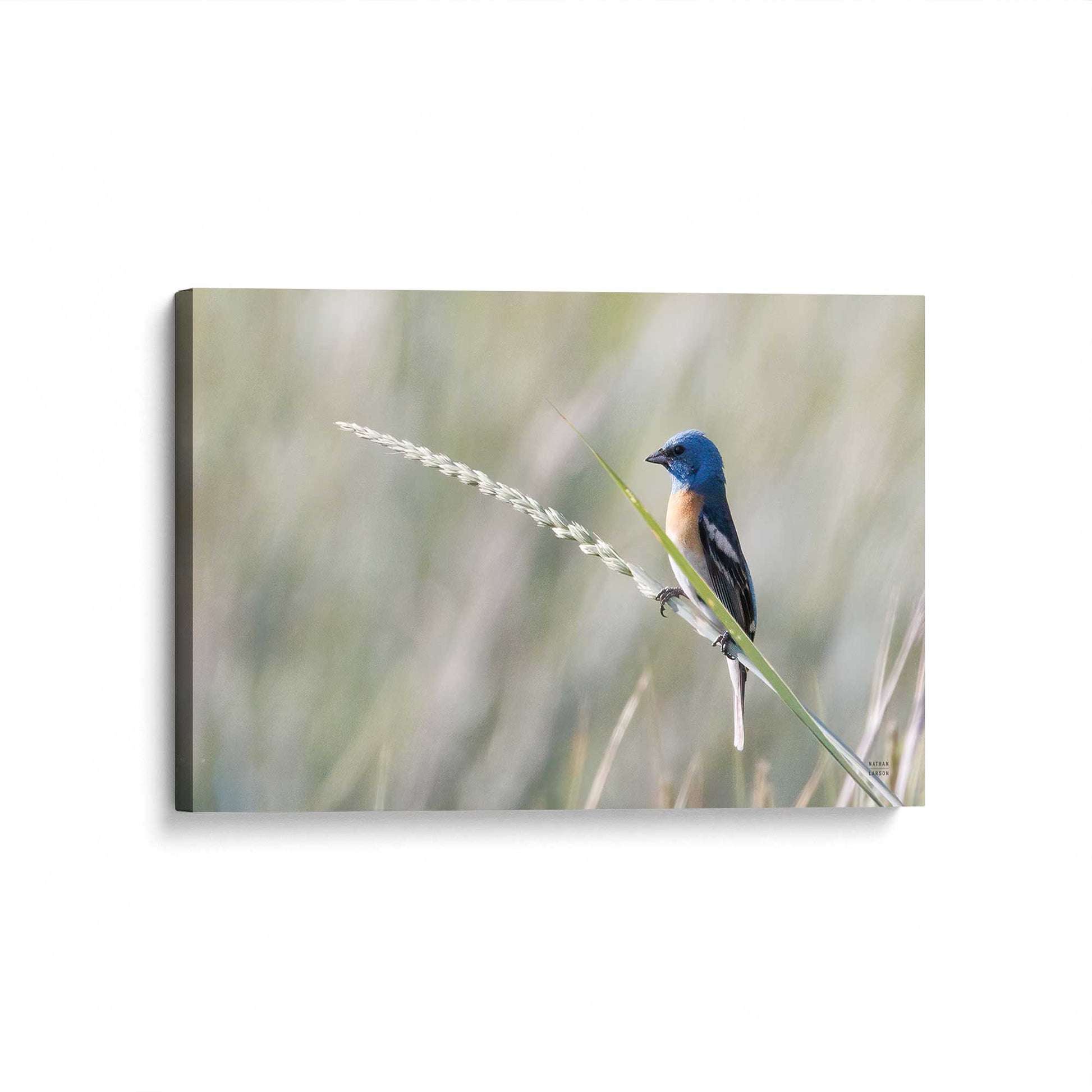 [Color:Stretched Canvas], Picture of art at an angle