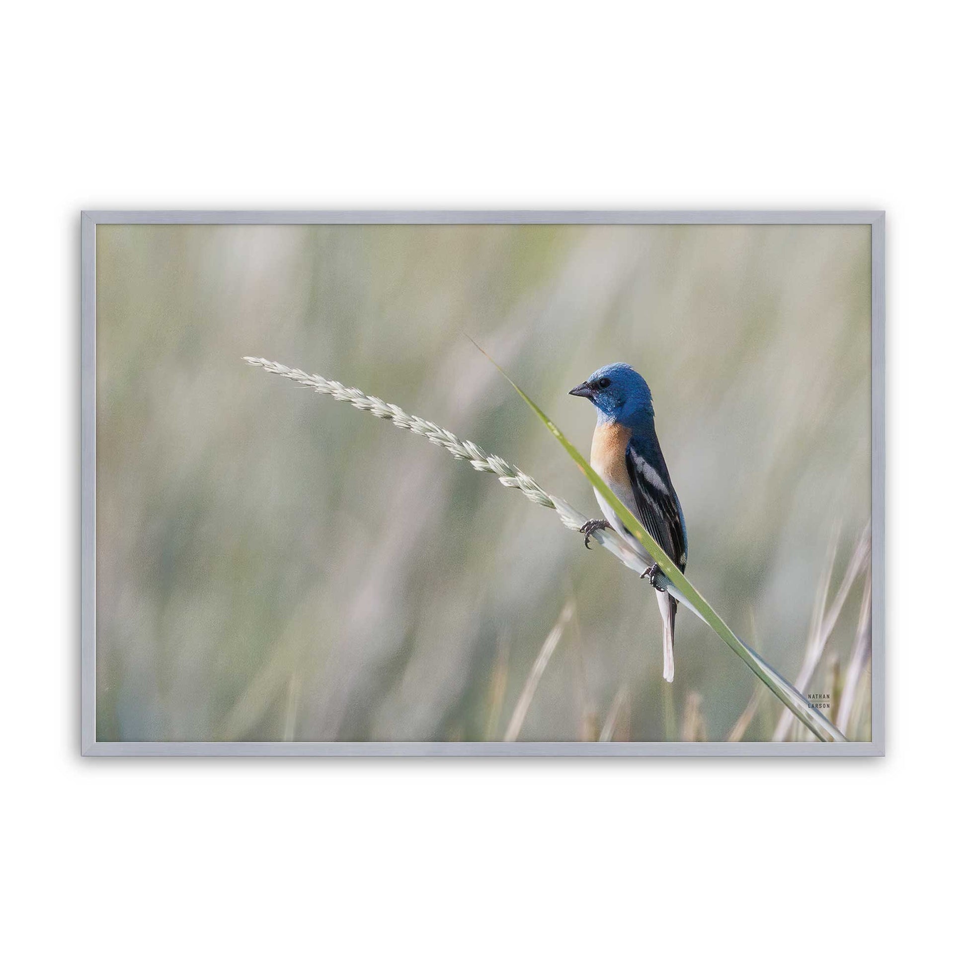 [Color:Polished Chrome], Picture of art in a Polished Chrome frame