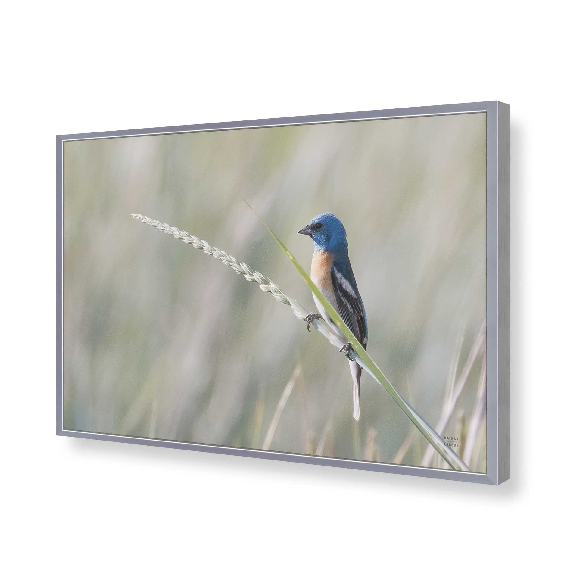 [Color:Polished Chrome], Picture of art in a Polished Chrome frame of the corner