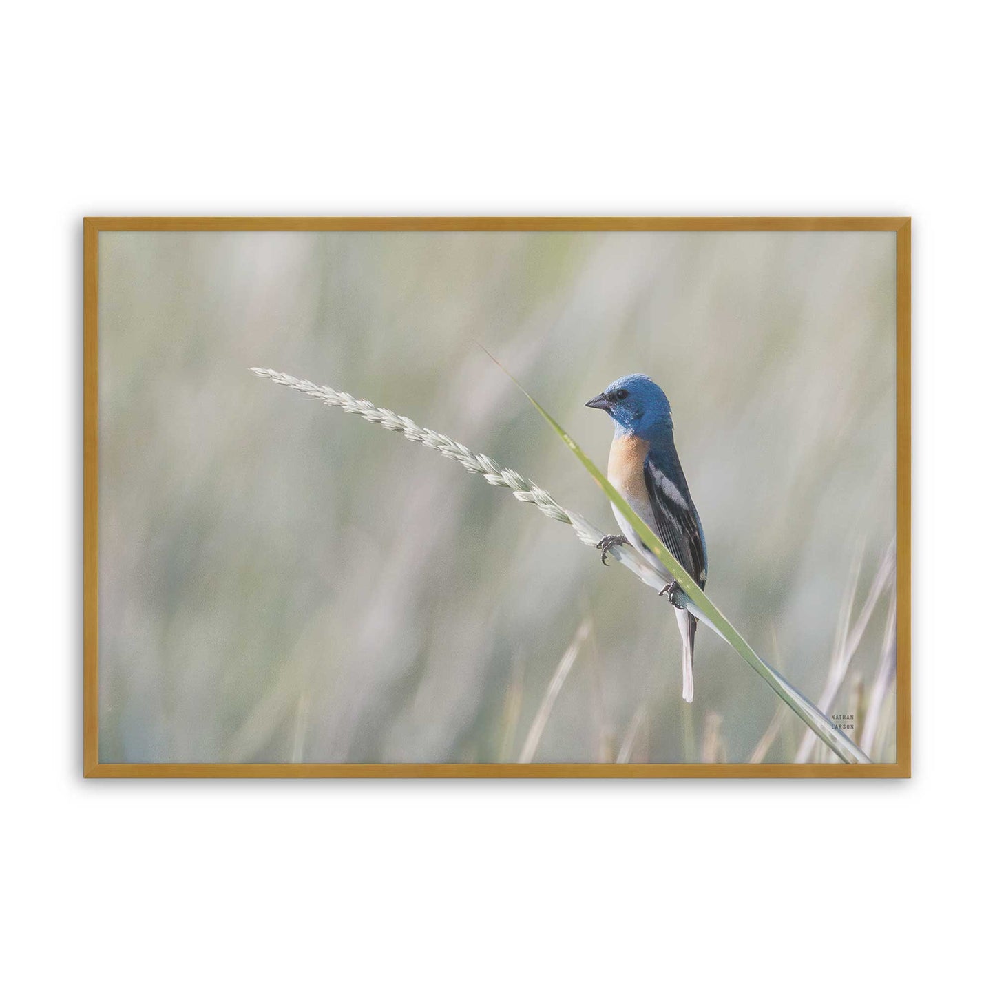 [Color:Polished Gold], Picture of art in a Polished Gold frame
