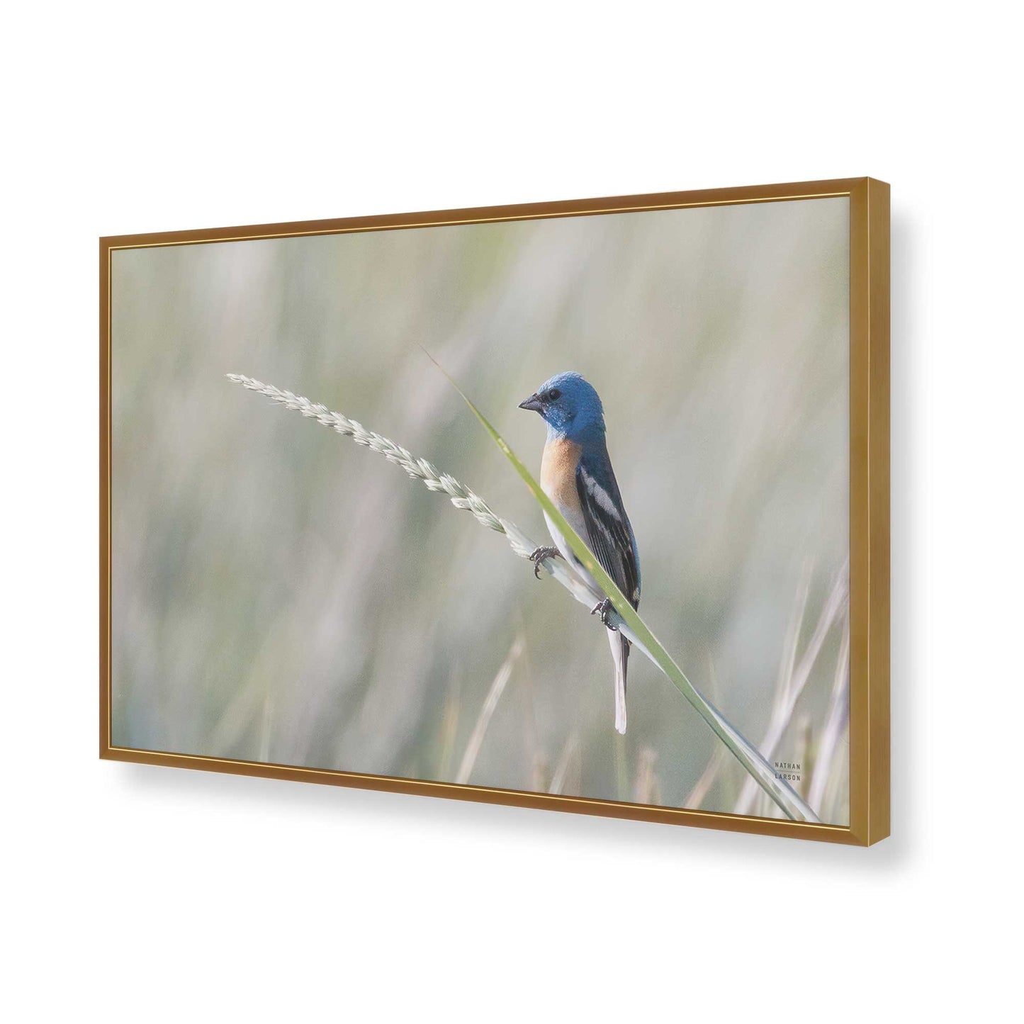 [Color:Polished Gold], Picture of art in a Polished Gold frame of the corner