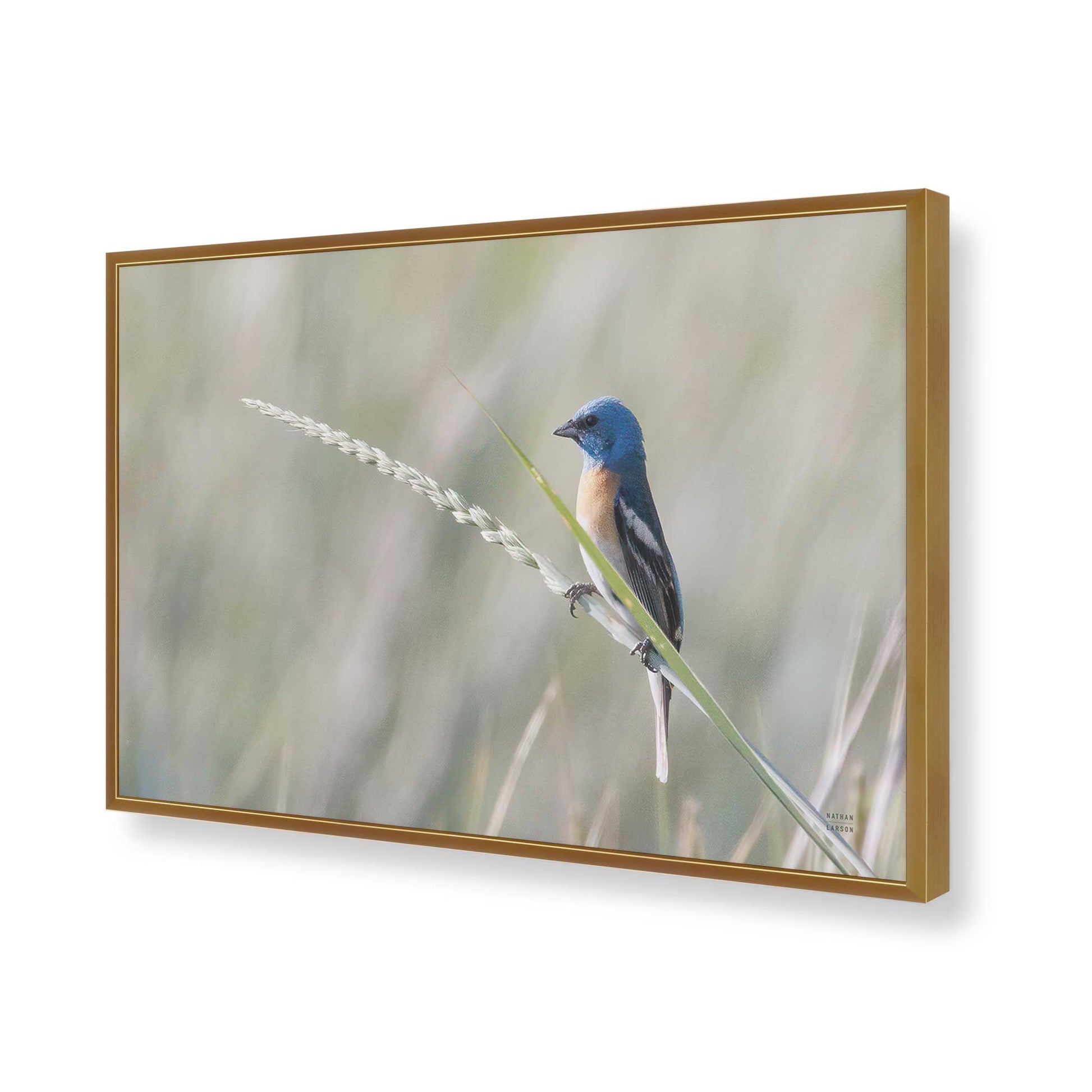 [Color:Polished Gold], Picture of art in a Polished Gold frame of the corner