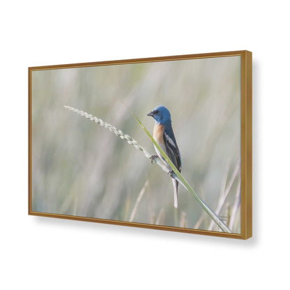 [Color:Polished Gold], Picture of art in a Polished Gold frame of the corner