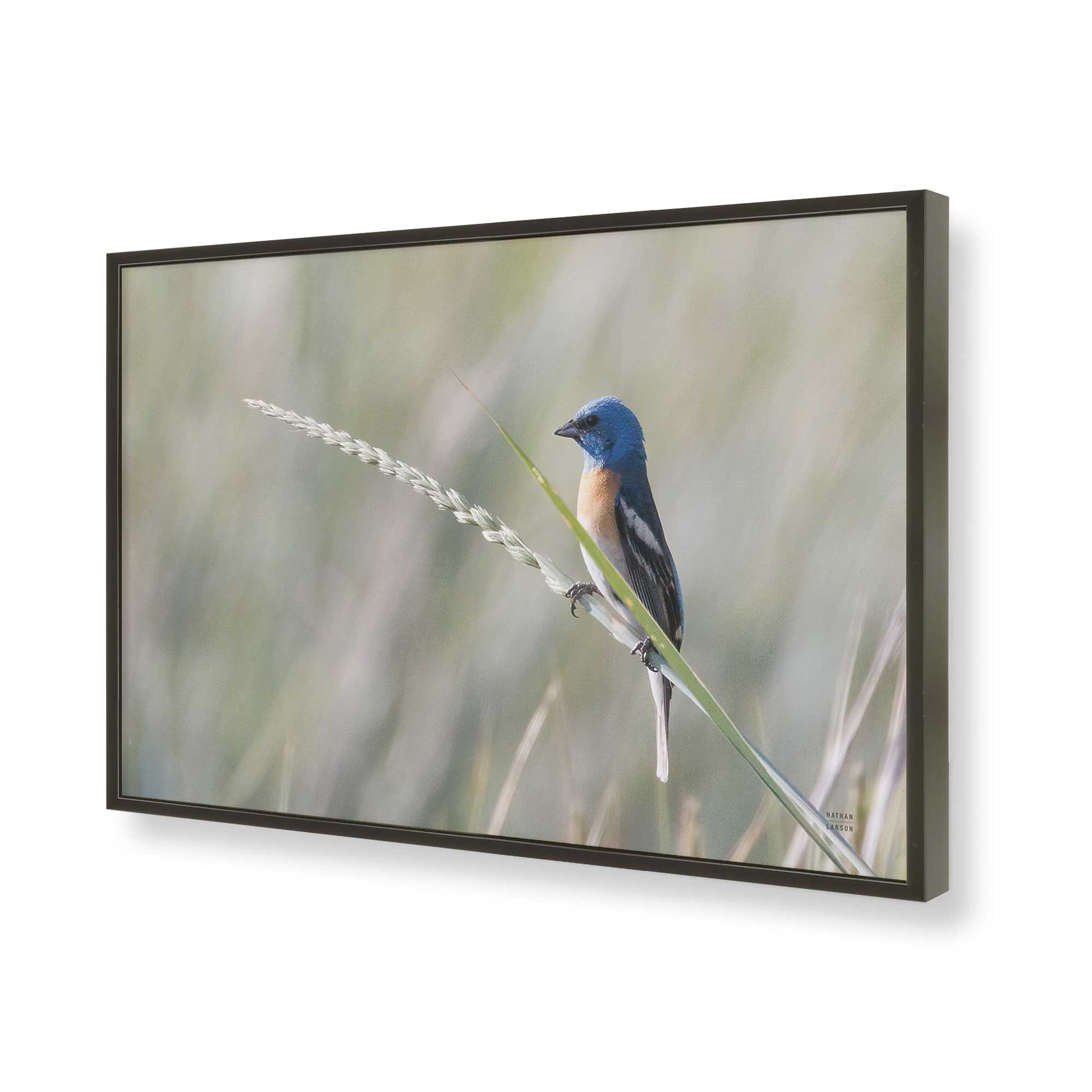 [Color:Satin Black], Picture of art in a Satin Black frame of the corner