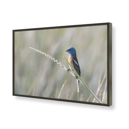 [Color:Satin Black], Picture of art in a Satin Black frame of the corner