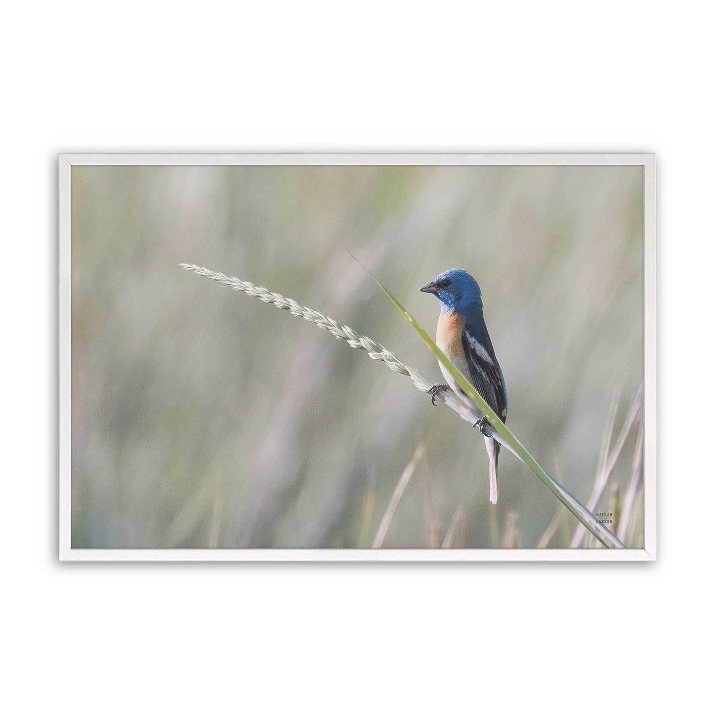 [Color:Opaque White], Picture of art in a Opaque White frame