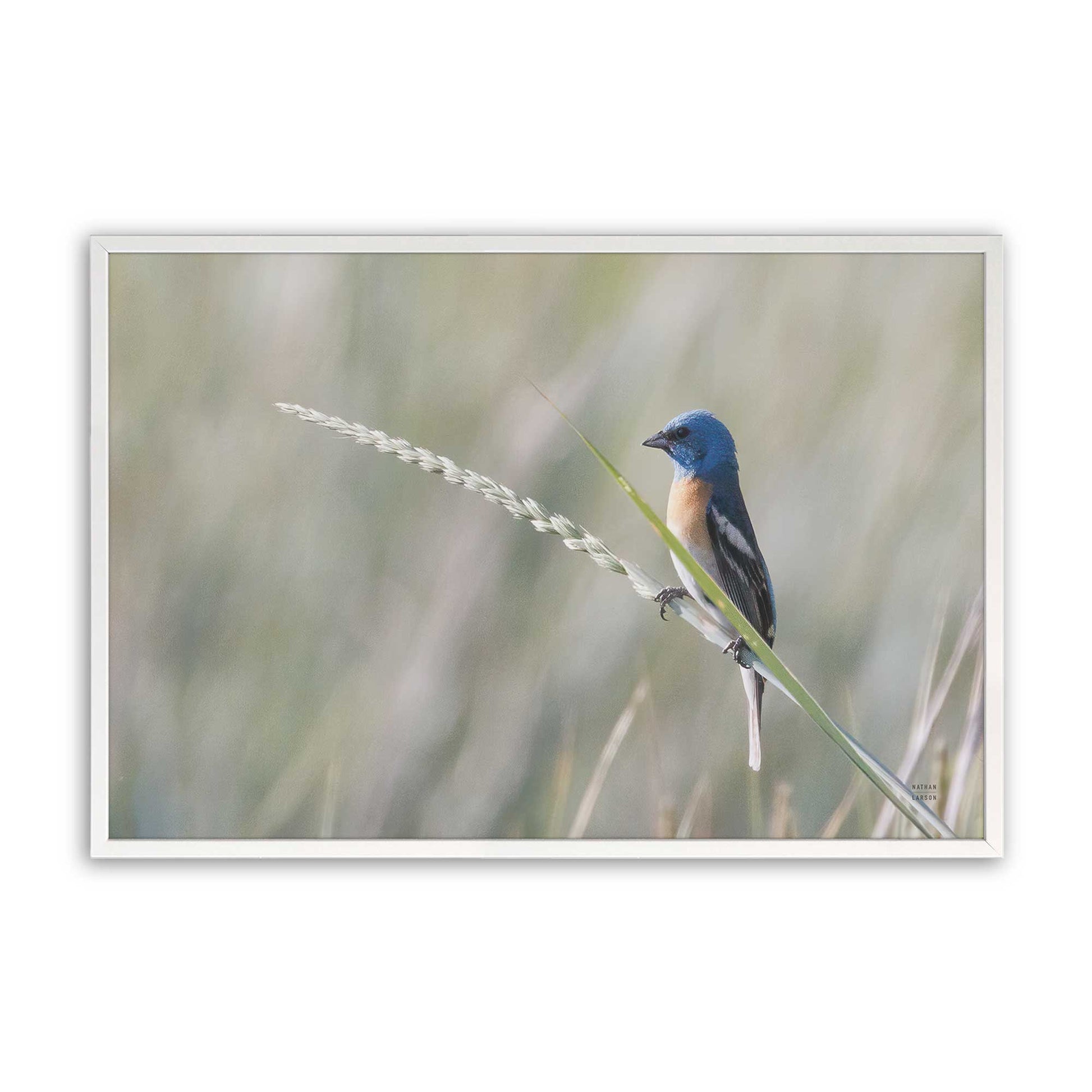 [Color:Opaque White], Picture of art in a Opaque White frame