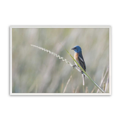 [Color:Opaque White], Picture of art in a Opaque White frame