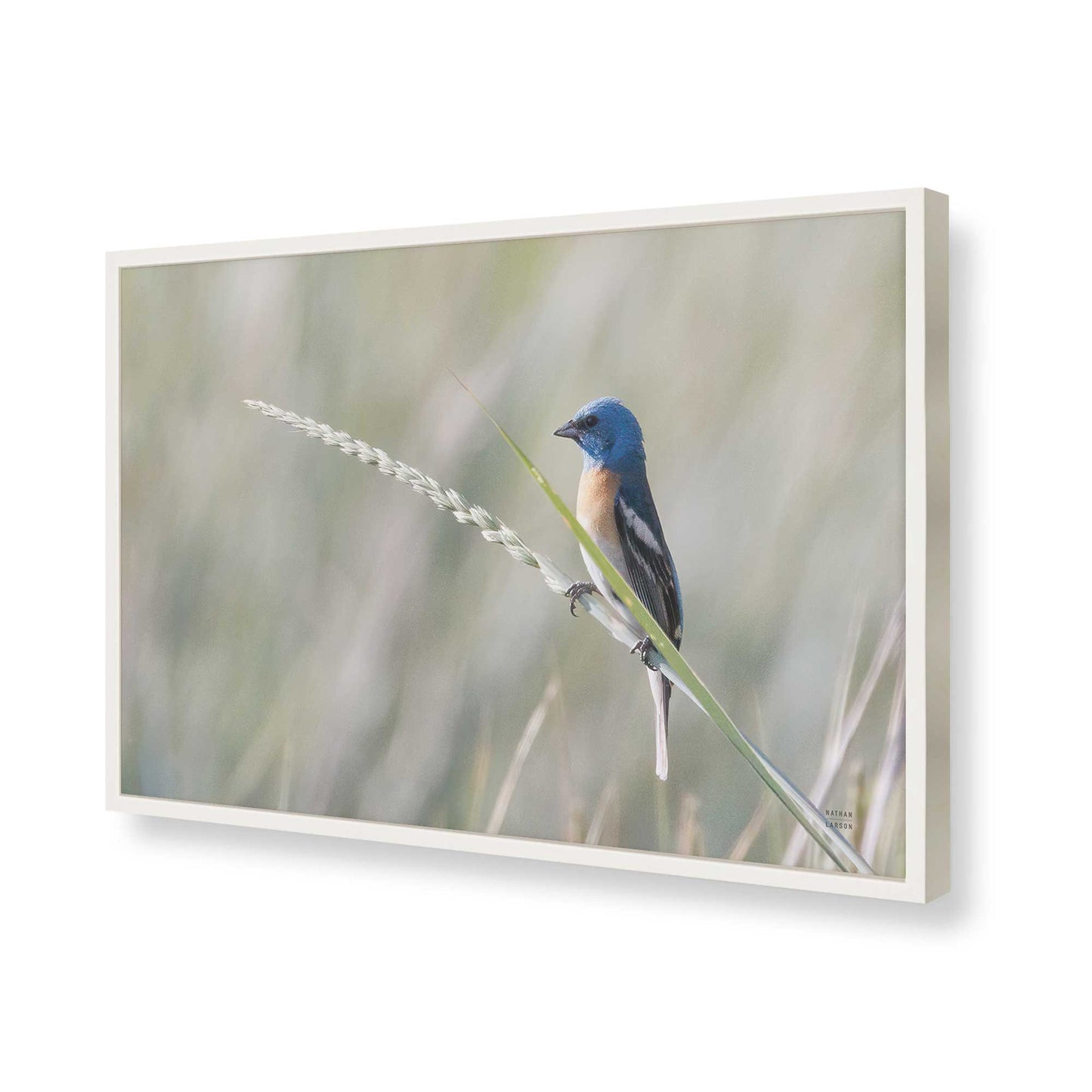 [Color:Opaque White], Picture of art in a Opaque White frame of the corner