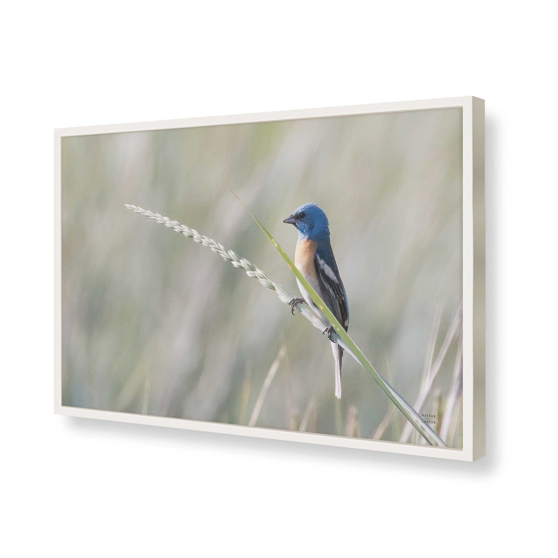 [Color:Opaque White], Picture of art in a Opaque White frame of the corner