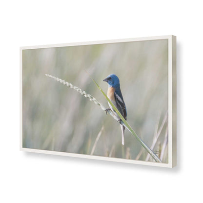 [Color:Opaque White], Picture of art in a Opaque White frame of the corner
