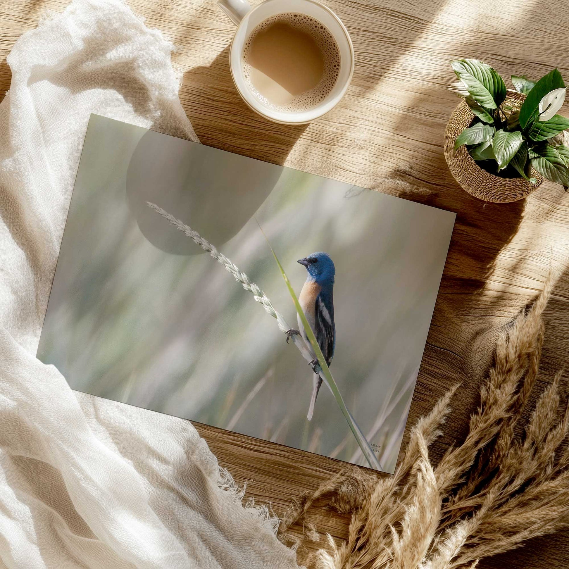 [Color:Rolled Print], Picture of close up of art