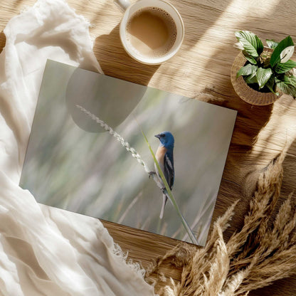 [Color:Rolled Print], Picture of close up of art