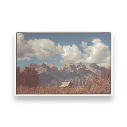 [Color:Opaque White], Picture of art in a White frame