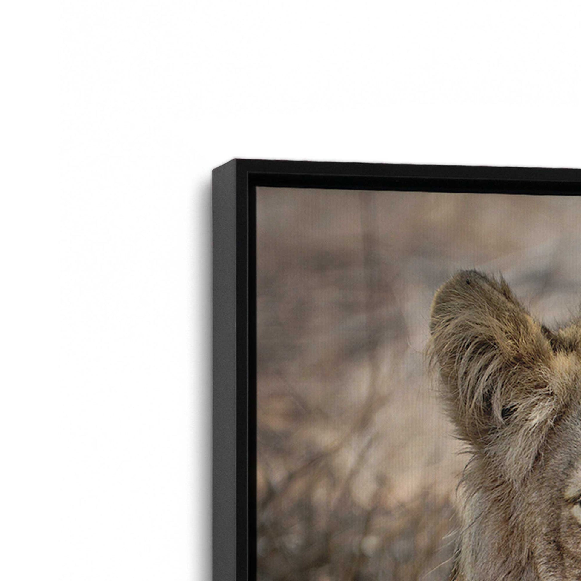 [Color:Satin Black], Picture of art in a Satin Black frame at an angle