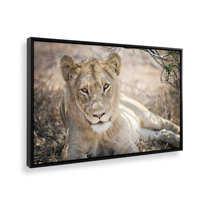 [Color:Satin Black], Picture of the corner of the art