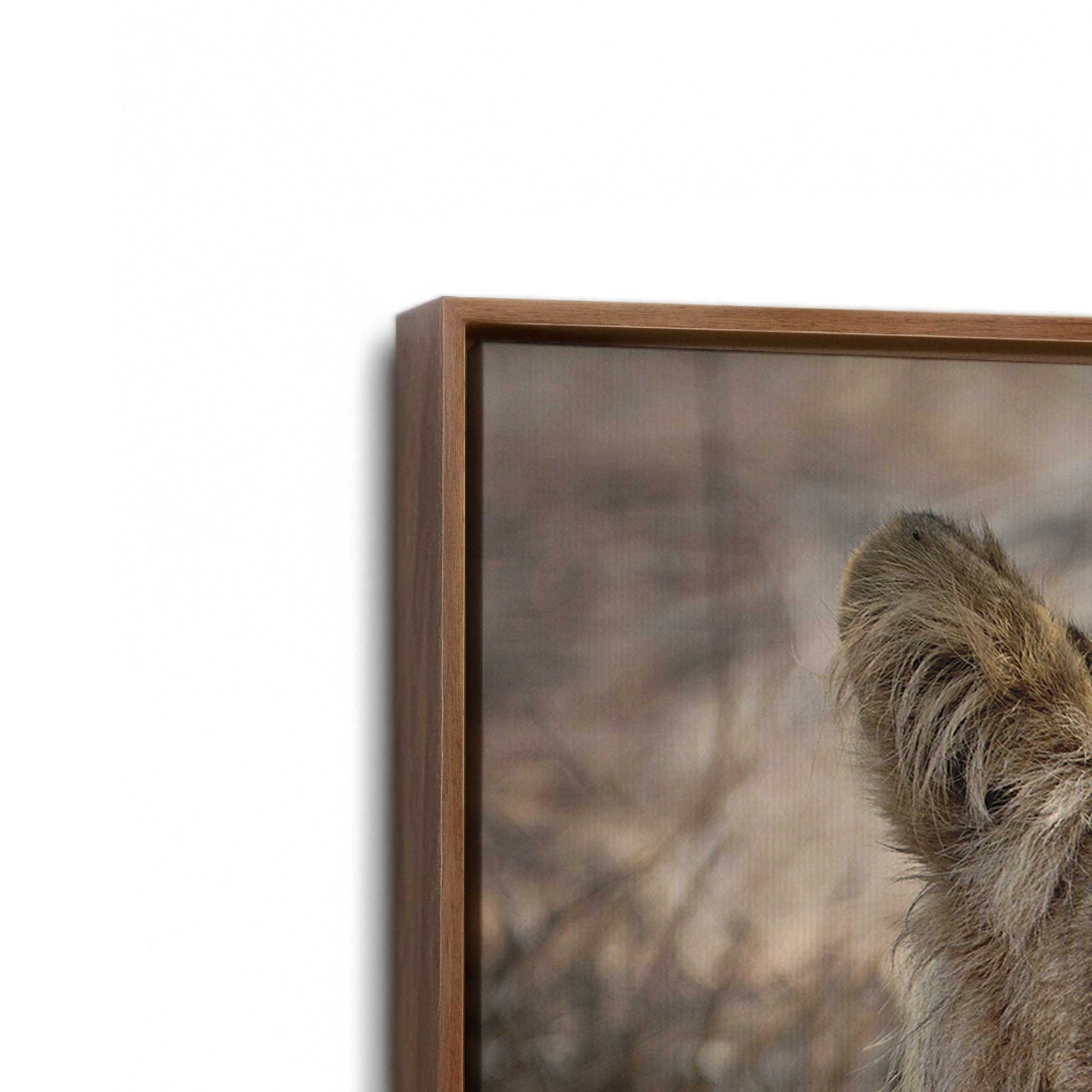 [Color:Walnut], Picture of art in a Walnut frame at an angle