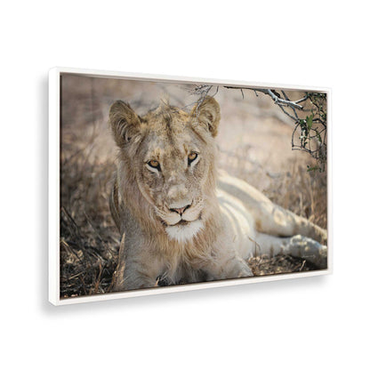 [Color:Opaque White], Picture of the corner of the art