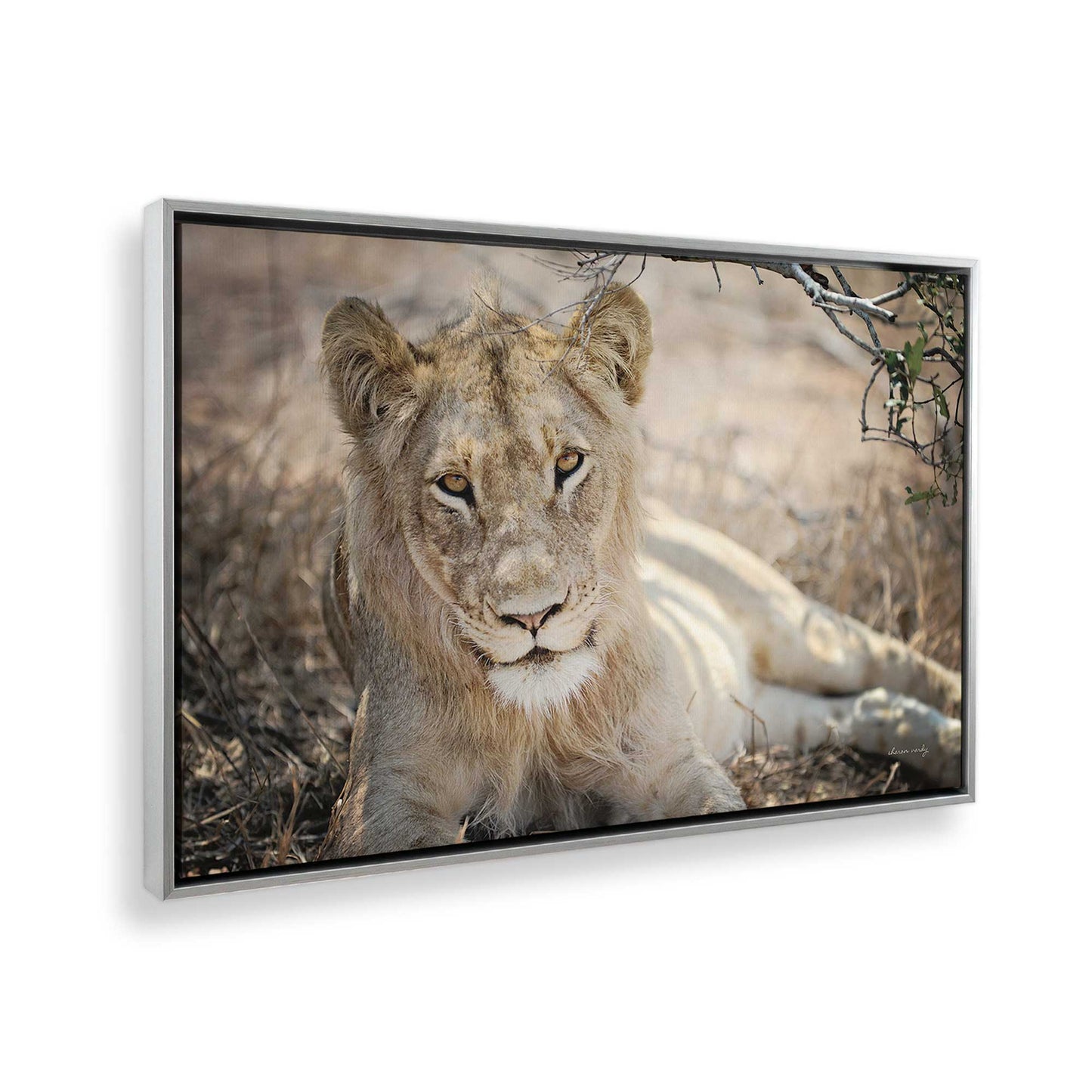 [Color:Polished Chrome], Picture of the corner of the art