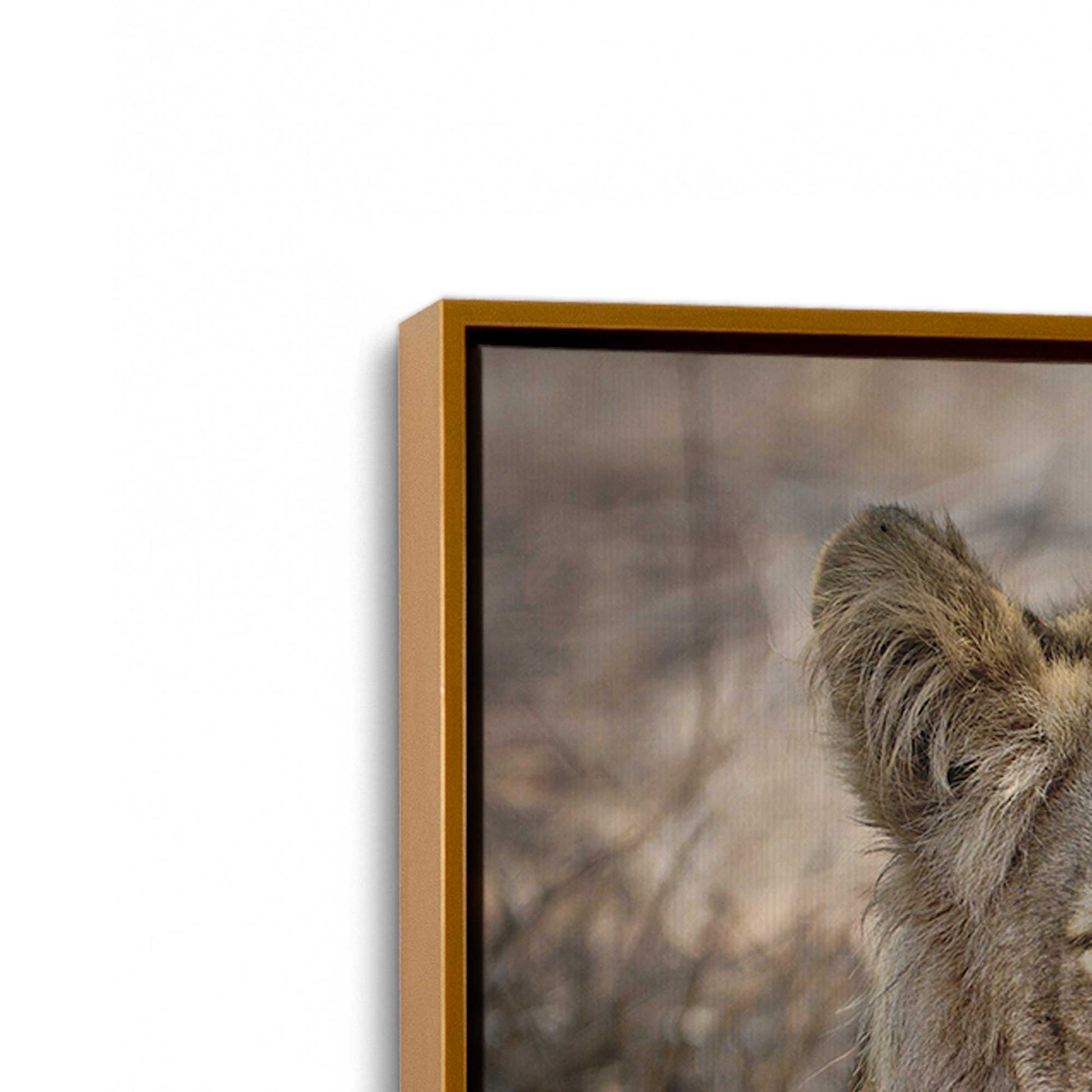 [Color:Polished Gold], Picture of art in a Polished Gold frame at an angle