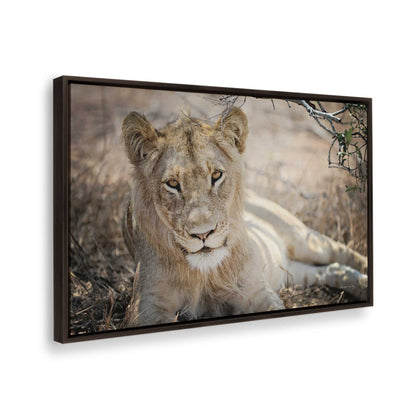 [Color:Espresso], Picture of the corner of the art