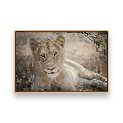 [Color:American Maple], Picture of art in a American Maple frame