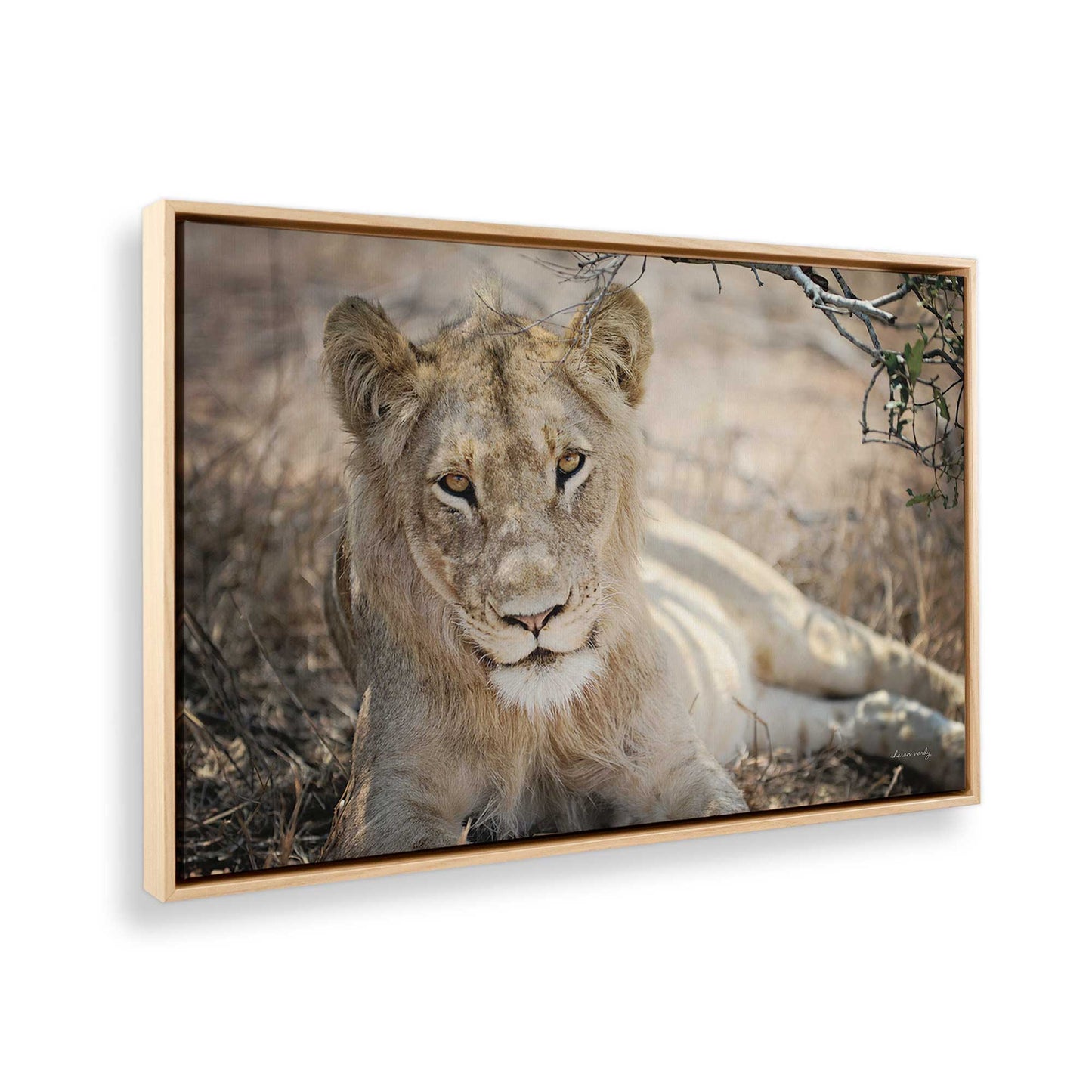 [Color:American Maple], Picture of the corner of the art