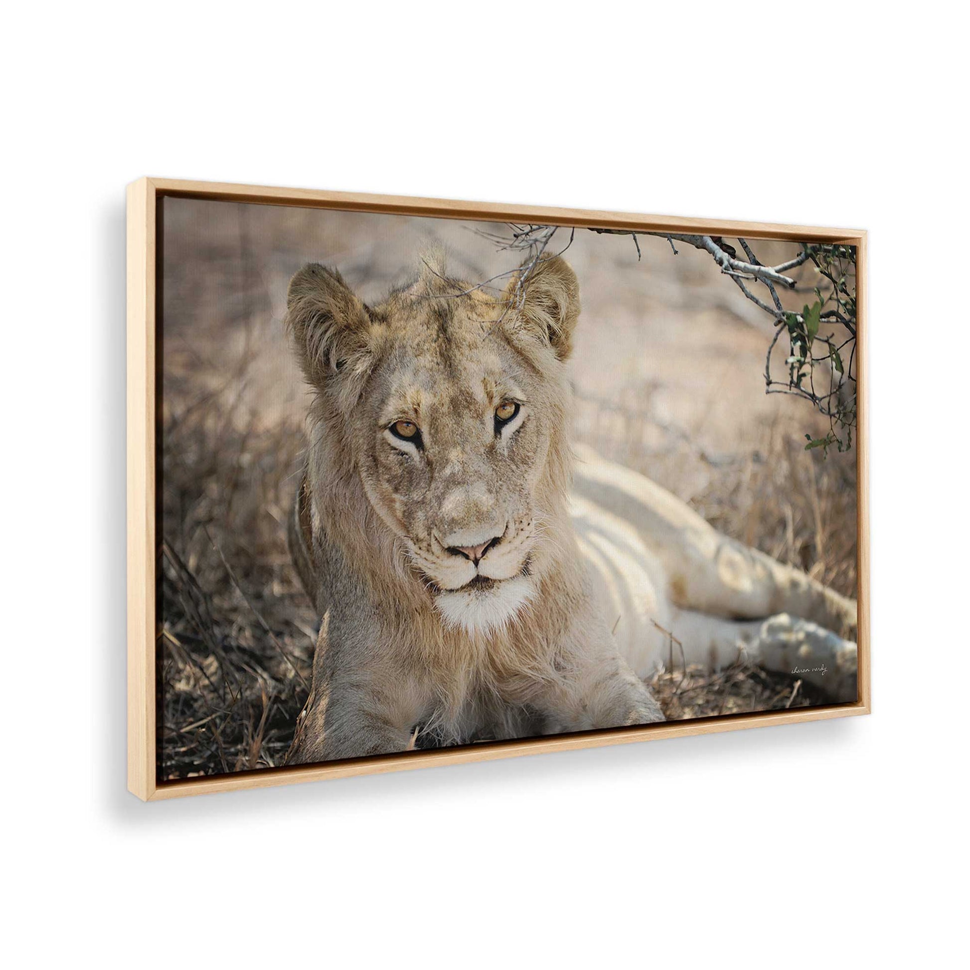 [Color:American Maple], Picture of the corner of the art