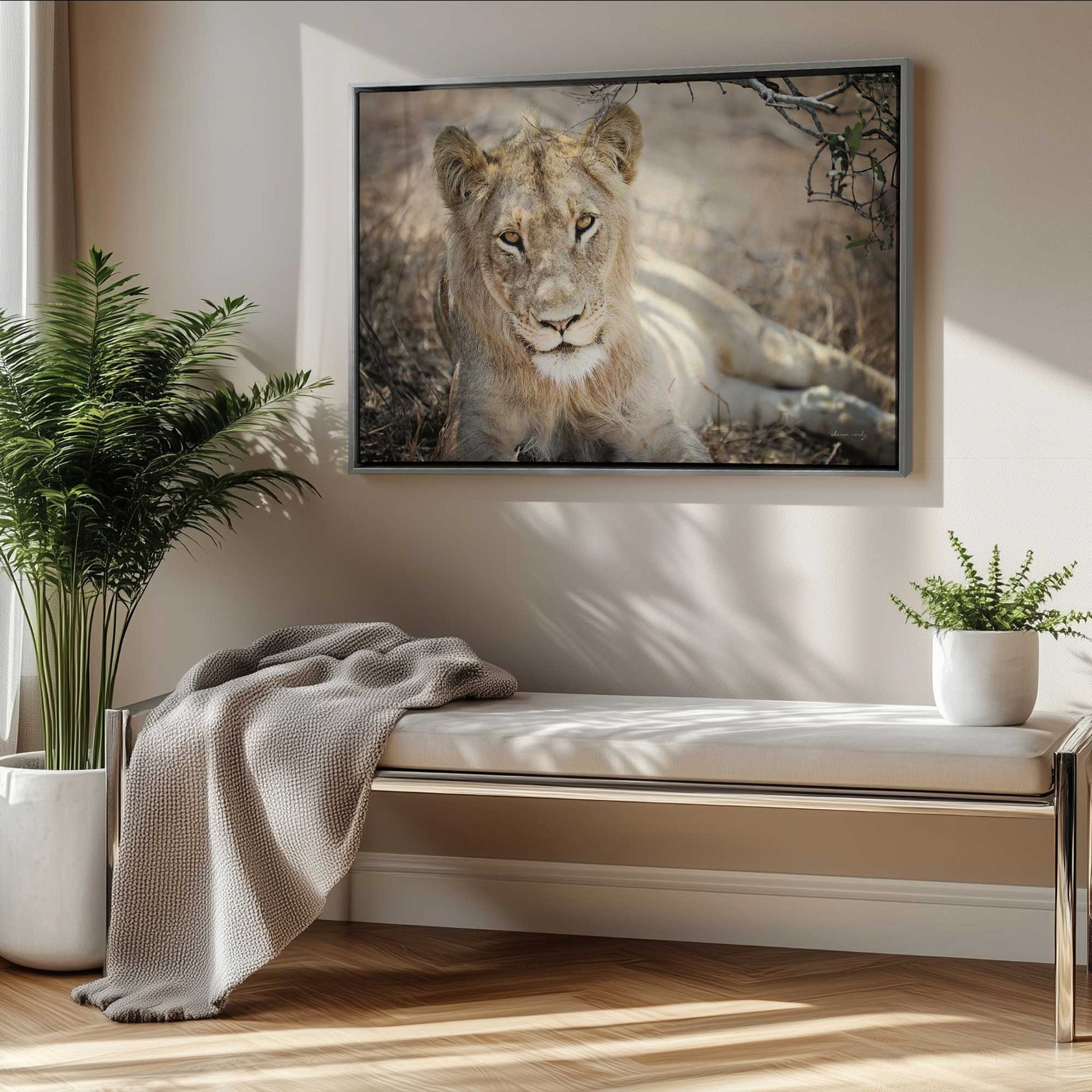 Picture of art in a room