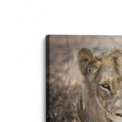 [Color:Stretched Canvas], Picture of the corner of the art