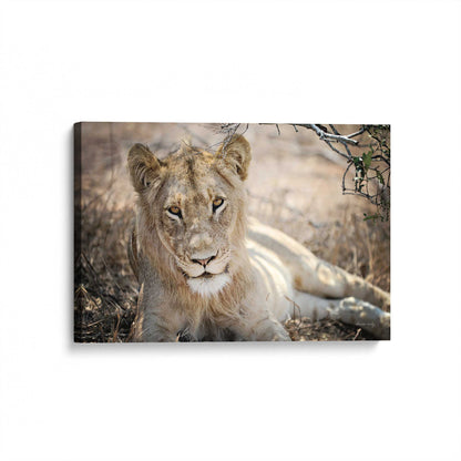 [Color:Stretched Canvas], Picture of art at an angle