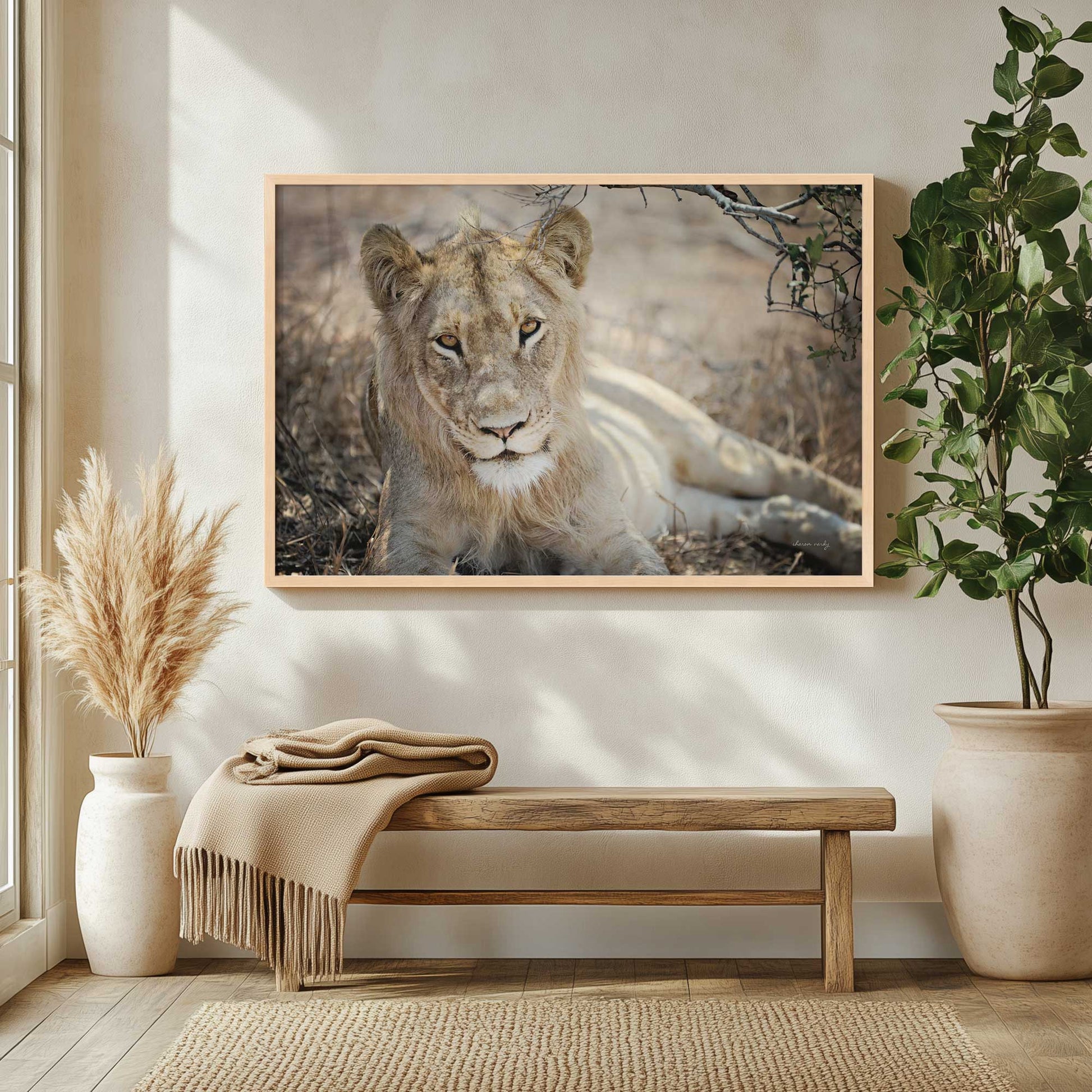 [LIFESTYLE],[SPECIAL],