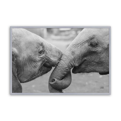 [Color:Polished Chrome], Picture of art in a Polished Chrome frame