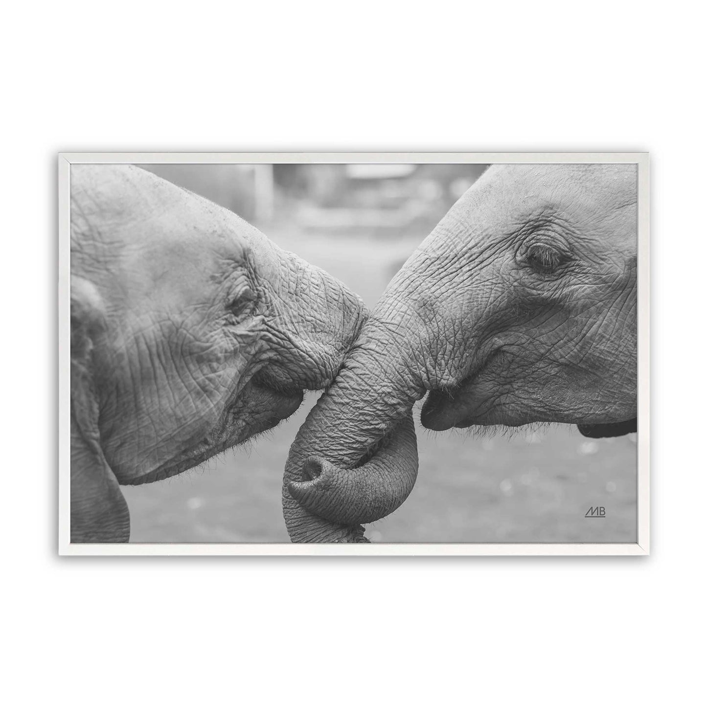 [Color:Opaque White], Picture of art in a Opaque White frame