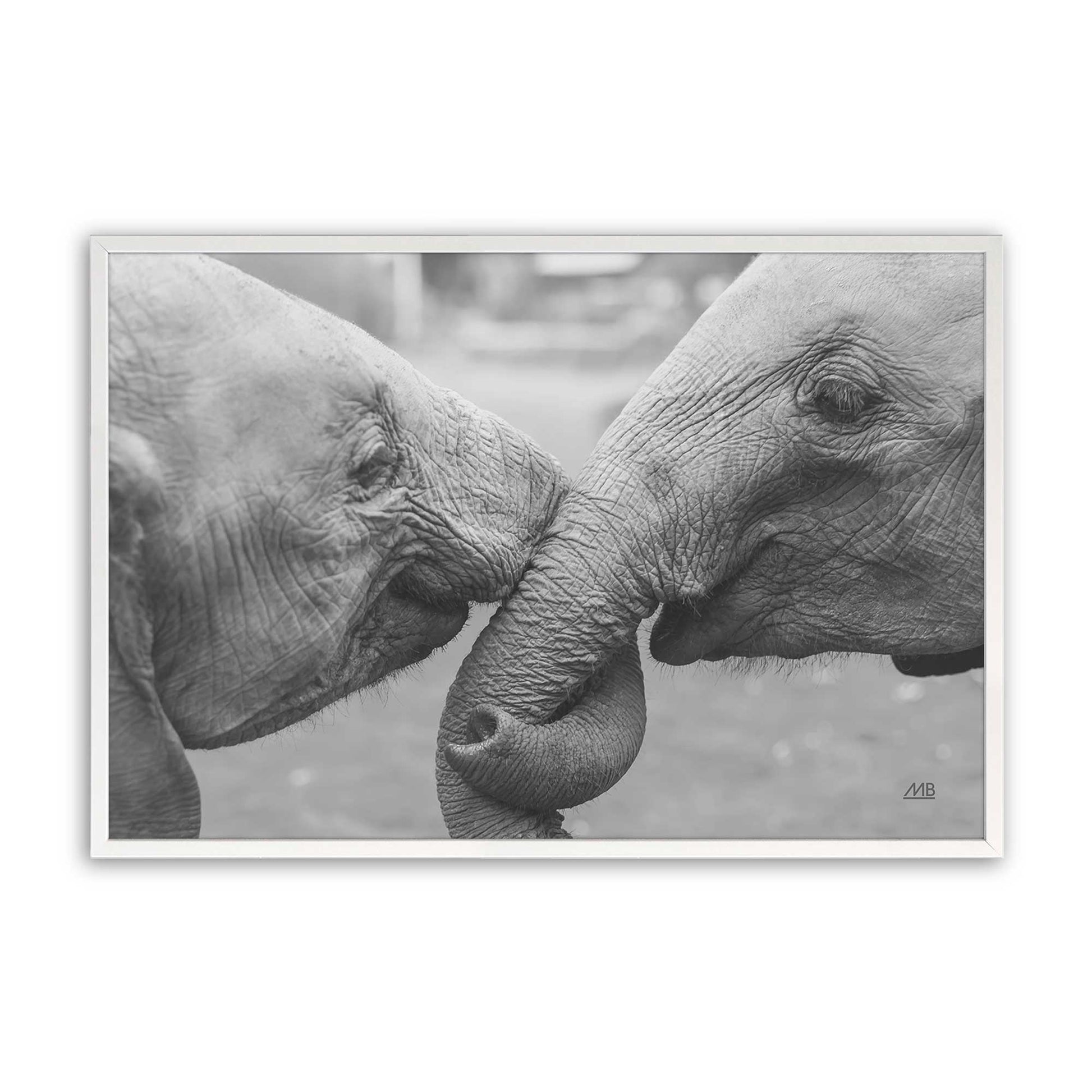 [Color:Opaque White], Picture of art in a Opaque White frame