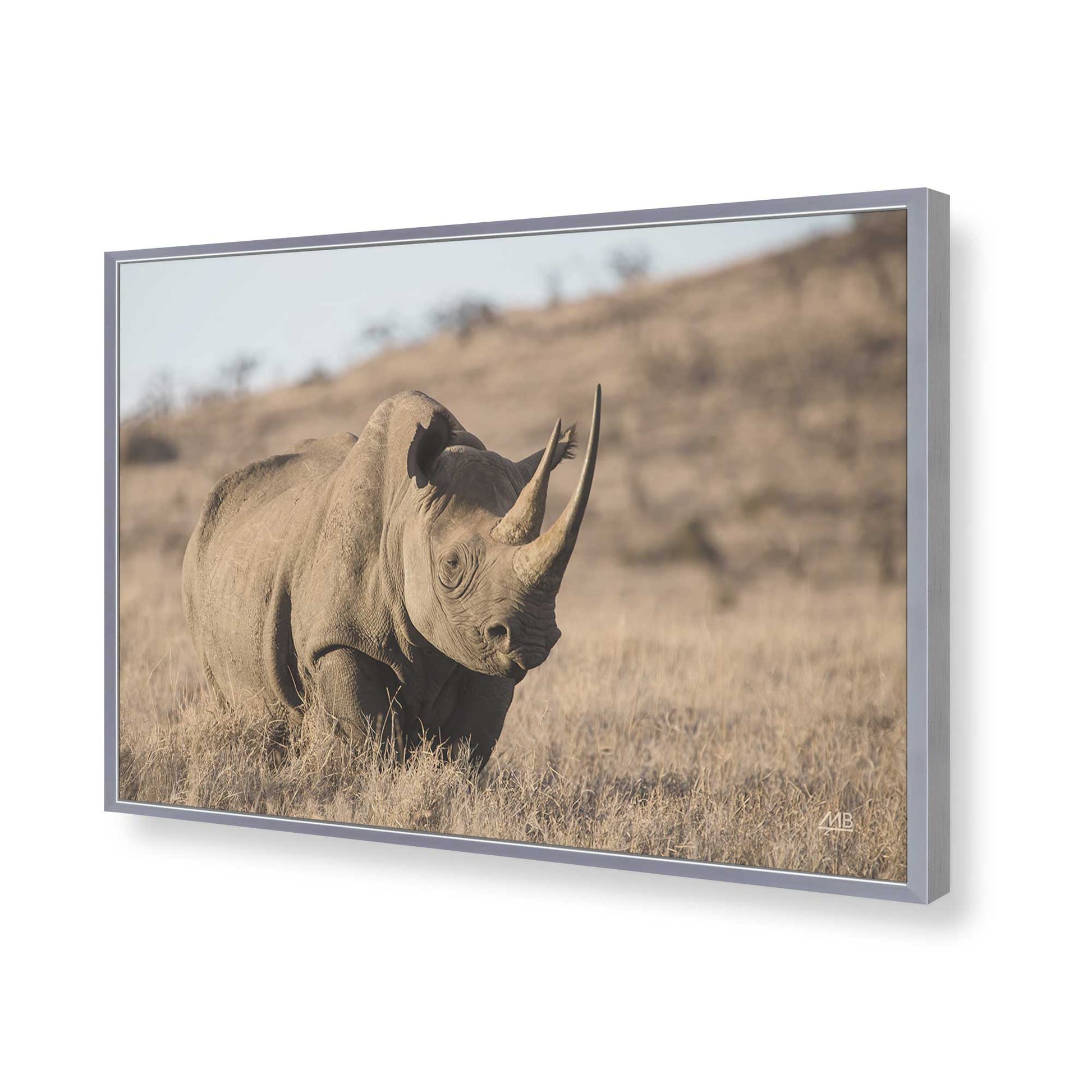 [Color:Polished Chrome], Picture of art in a Polished Chrome frame of the corner