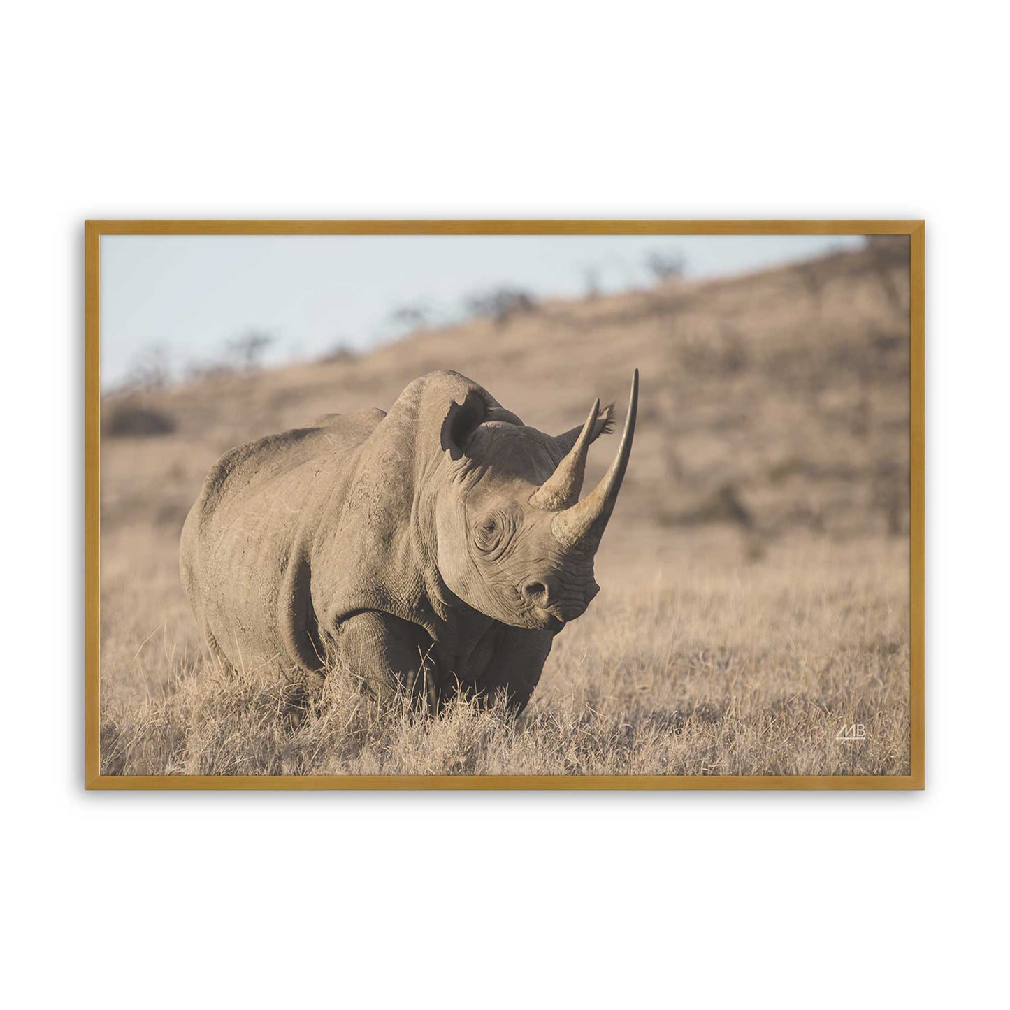 [Color:Polished Gold], Picture of art in a Polished Gold frame