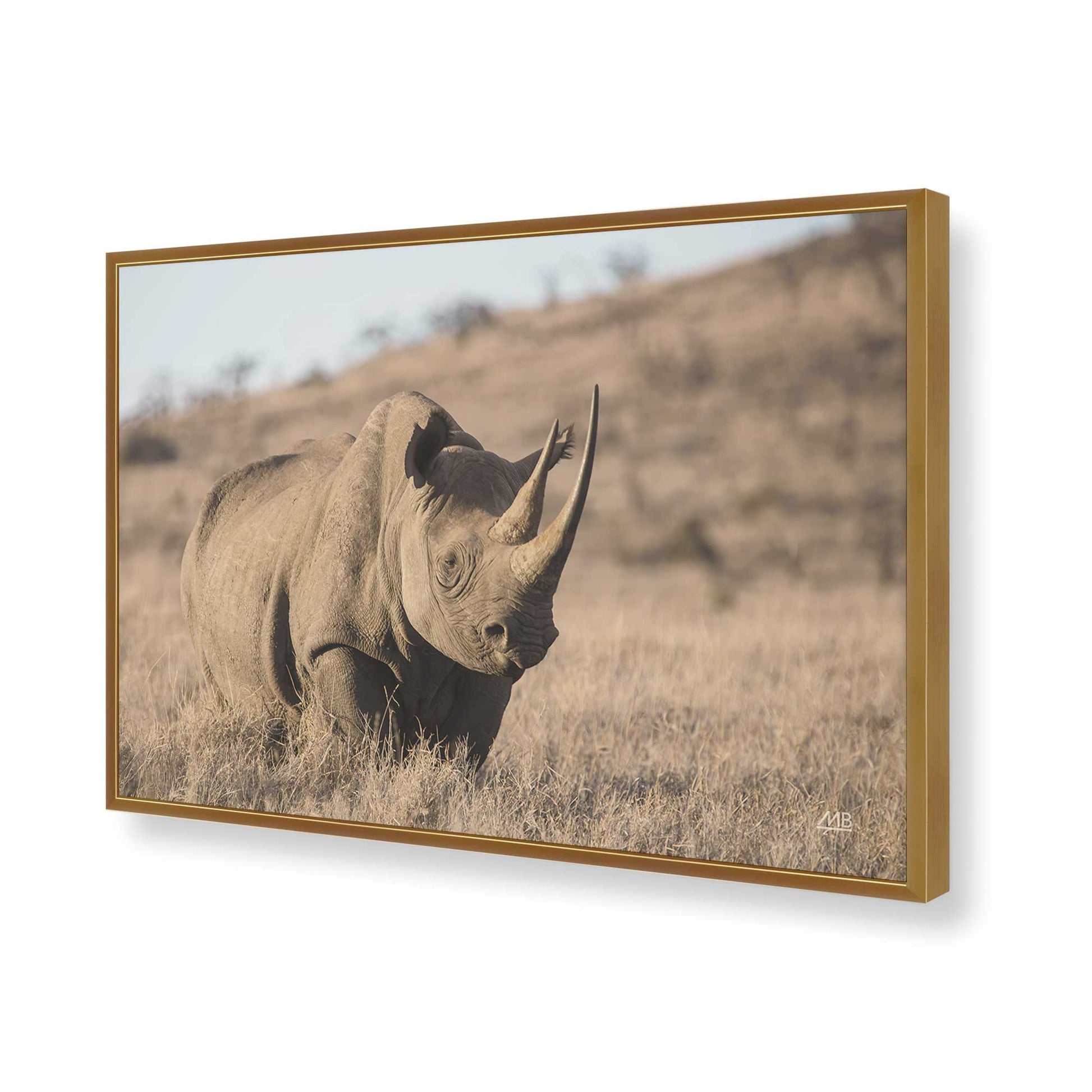 [Color:Polished Gold], Picture of art in a Polished Gold frame of the corner